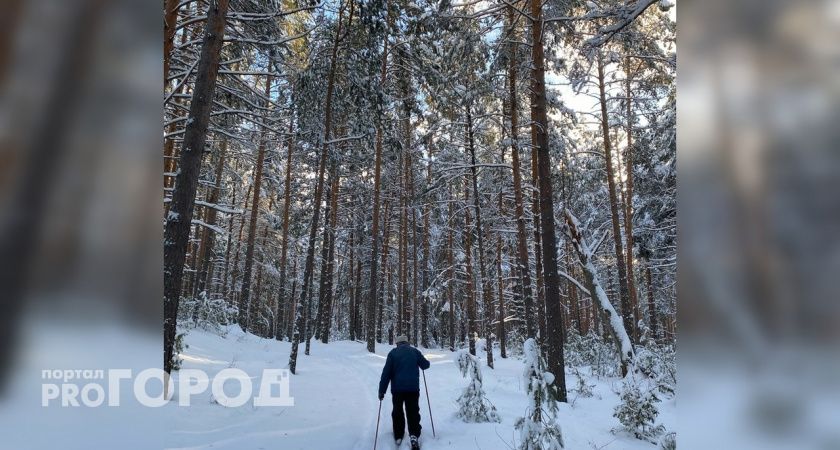 Грядет суровая зима: синоптики предупредили россиян о 40-градусных морозах и арктических вторжениях