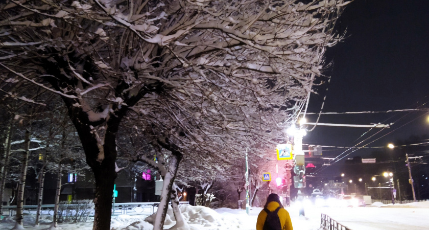 Снежно, пасмурно и тепло: какой будет погода в Кирово-Чепецке в конце января?