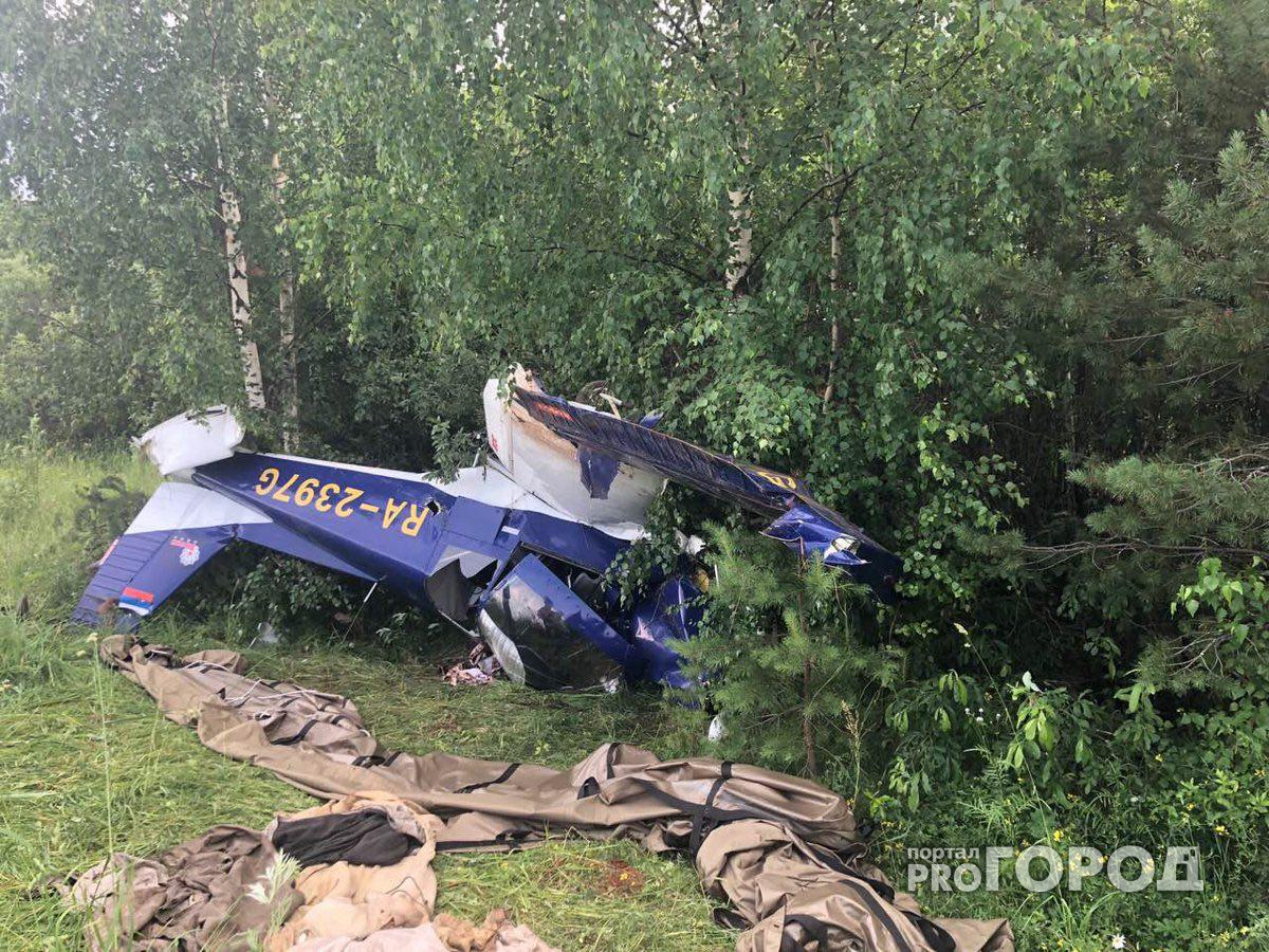 В Кучанах разбился самолет: появились фото с места происшествия