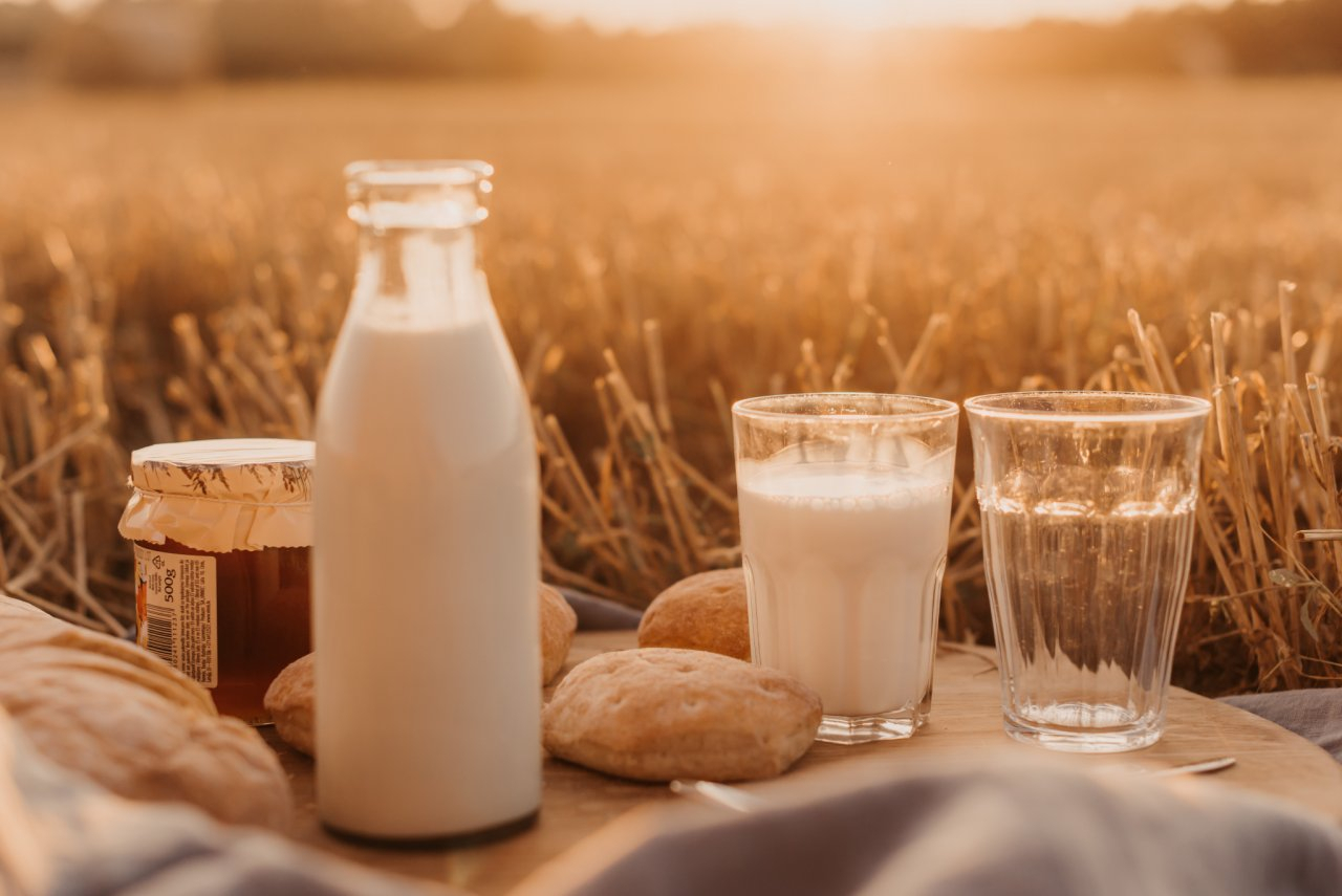 От чего зависят вкус и польза молока?