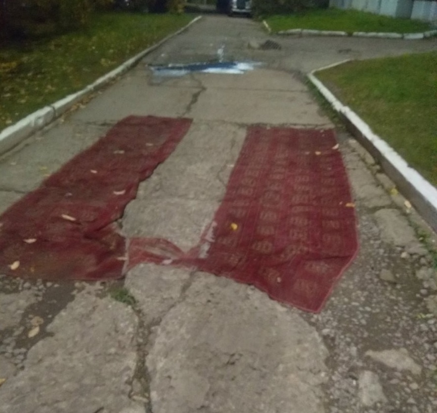«Чтобы проехать с коляской, жильцы постелили ковры»: чепчане о состоянии дворов