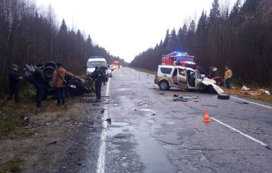 Житель Кировской области с крокодилом и питоном в салоне авто разбился в ДТП
