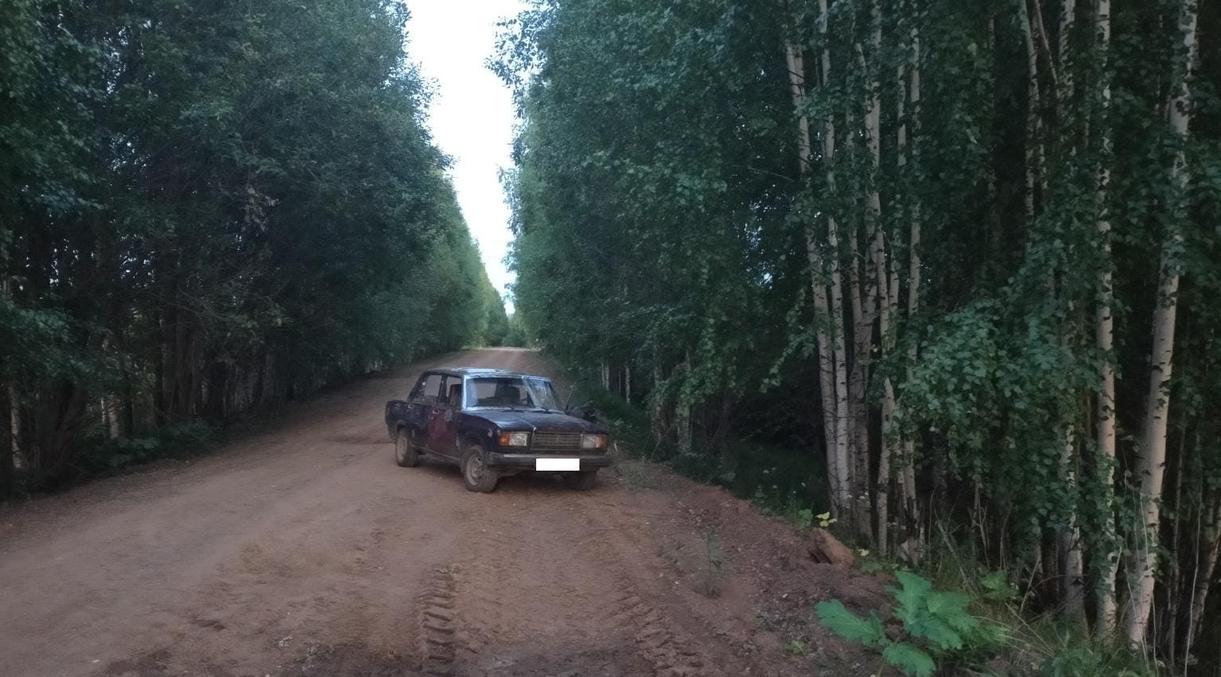 В Чепецком районе на грунтовой дороге водитель «семерки» насмерть сбил пешехода