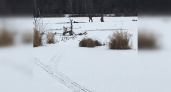 Два человека провалились под лед: спасатели рассказали, что произошло на рыбалке в Шутовщине