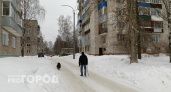 Облачно и спокойно: какой будет погода в Кирово-Чепецке в выходные с 13 по 14 января