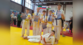 Юные кирово-чепецкие каратисты успешно выступили на турнире в Казани