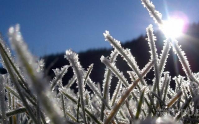 В Кировской области объявлено метеопредупреждение из-за заморозков