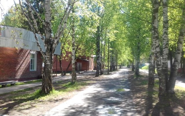 Известно, когда закончится бабье лето в Кировской области