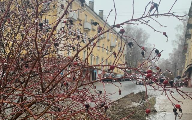 Ледяные дожди: прогноз погоды в Кирово-Чепецке с 11 по 17 ноября