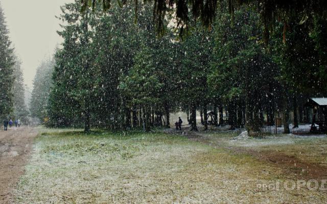 Чепчан ожидает аномально теплая погода: прогноз с 11 по 17 ноября