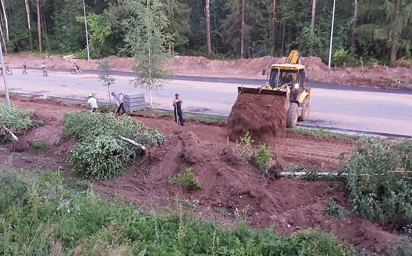 "Мы садили их сами!": чепчан возмутила вырубка молодых деревьев из-за ремонта на Братьев Васнецовых